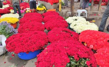 "Ugadi & Eid-ul-Fitr Unite Hearts in a Divine Celebration of Harmony"