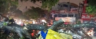 Bengaluru Pre-Monsoon Showers Begin; Auto Driver Killed in Tree Fall