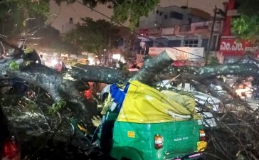 Bengaluru Pre-Monsoon Showers Begin; Auto Driver Killed in Tree Fall