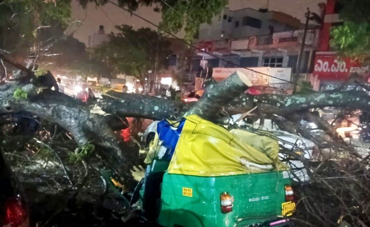 Bengaluru Pre-Monsoon Showers Begin; Auto Driver Killed in Tree Fall